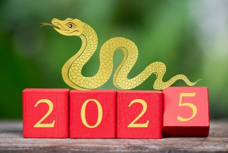 Guide to Chinese New Year 2025 Mandarin Blueprint